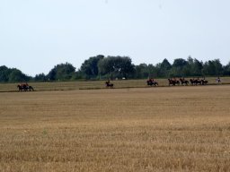 199143_10151090365413585_340440688_n